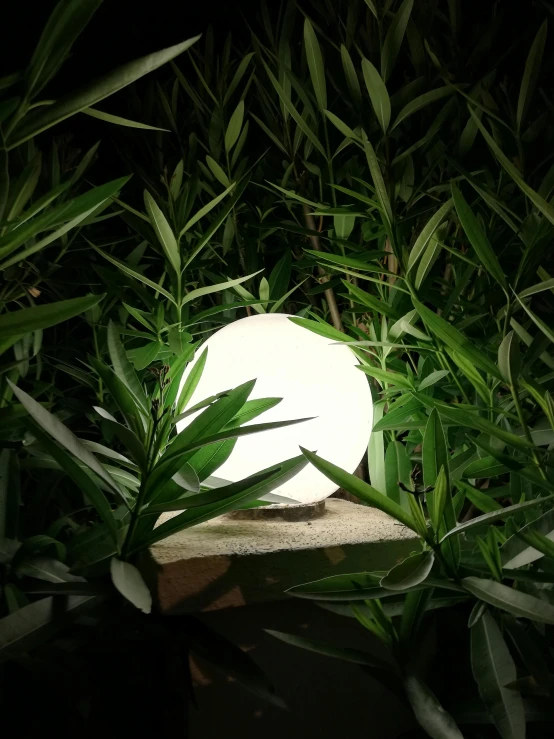 a light that is sitting on top of a rock, inspired by Isamu Noguchi, in a deep lush jungle at night, circular white full moon, product introduction photo, in the garden