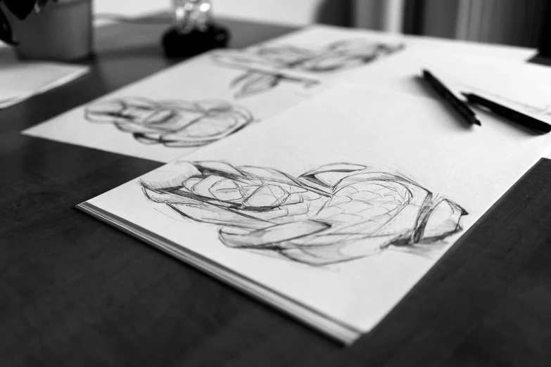 a couple of papers sitting on top of a table, a pencil sketch, behance, process art, anatomical heart, character design sketch, detailed claws, thick thick thick outlines