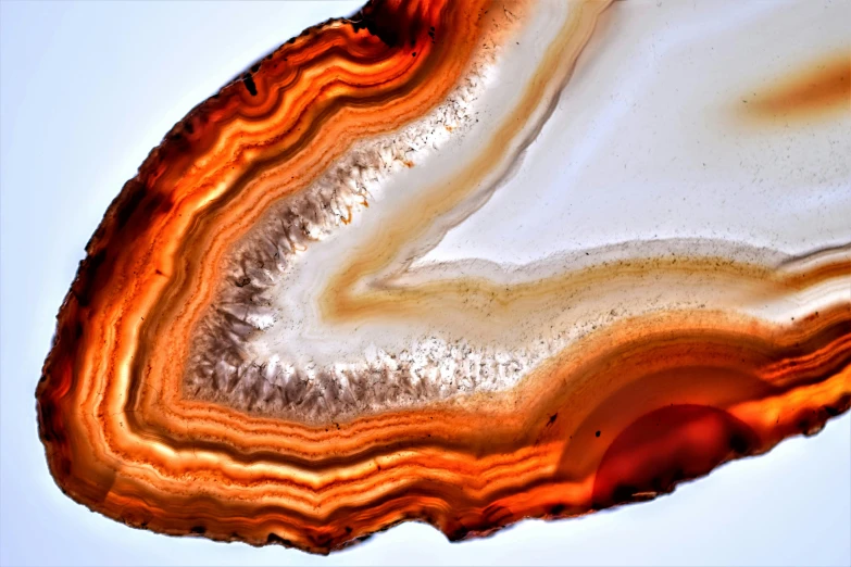 a slice of agate sitting on top of a table, by Jan Rustem, pexels contest winner, arabesque, white and orange, earthy, garnet, made of glazed