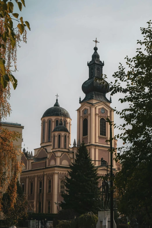 a large building with a steeple on top of it, by Jan Konůpek, city buildings on top of trees, black domes and spires, zoomed out to show entire image, from street level