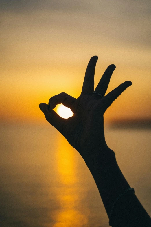 a person holding their hand up to the sun, peace sign, oceanside, profile picture 1024px, rectangle