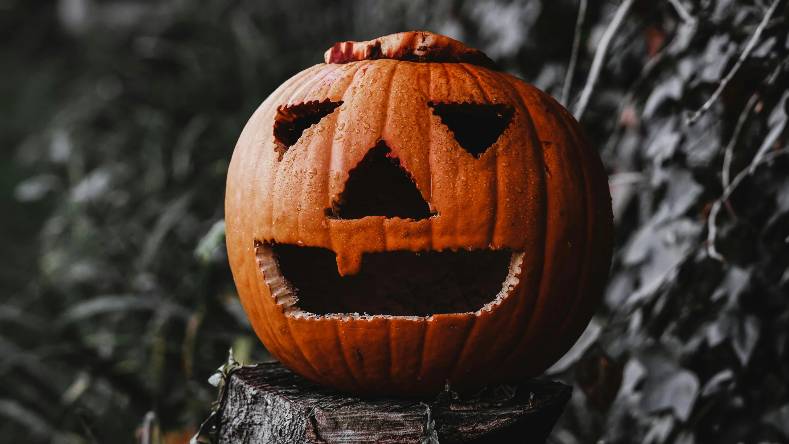 a carved pumpkin sitting on top of a tree stump, pexels, slasher smile, background image, profile image, group photo