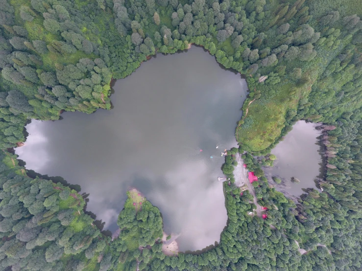 an aerial view of a lake surrounded by trees, outdoor photo, wētā fx, georgic, [ overhead view ]!