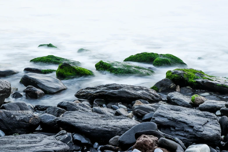 a bunch of rocks sitting on top of a beach, unsplash, black and green, hazy water, slow shutter, seaweed