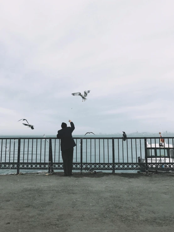a man standing on top of a bridge next to a body of water, seagulls, photograph of san francisco, hands reaching for her, trending on vsco