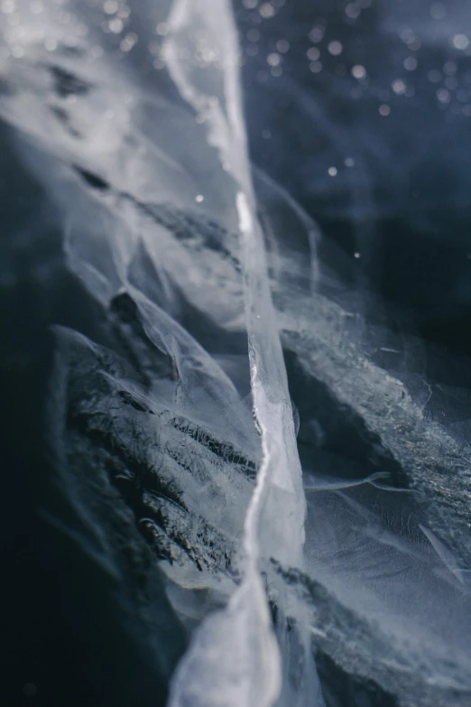 a close up of a veil on a body of water, a microscopic photo, trending on unsplash, lyrical abstraction, ice arrows, ignant, fracture, dark and white