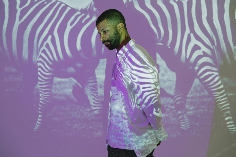 a man standing in front of a projection of a zebra, an album cover, drake, brook, photograph, press photos