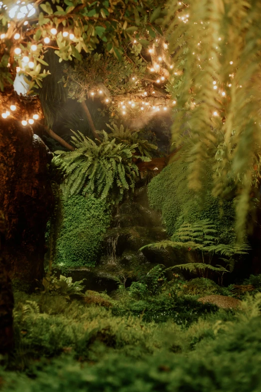a couple of bears that are standing in the grass, an album cover, inspired by Elsa Bleda, environmental art, in a garden full of ferns, floating lights, ignant, miniature world