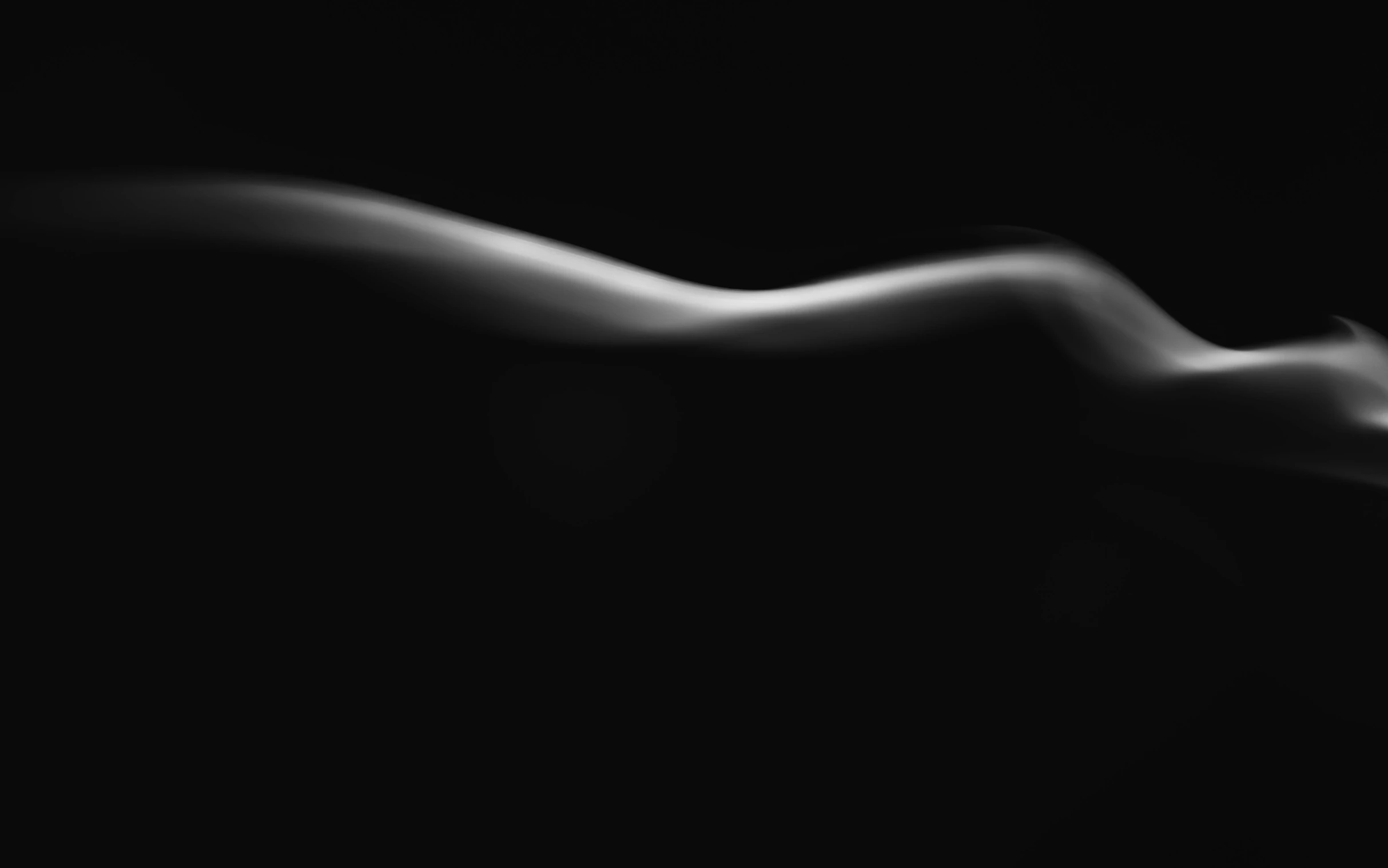 a close up of smoke on a black background, a black and white photo, by Emma Andijewska, conceptual art, curved body, venus, archival pigment print, single image