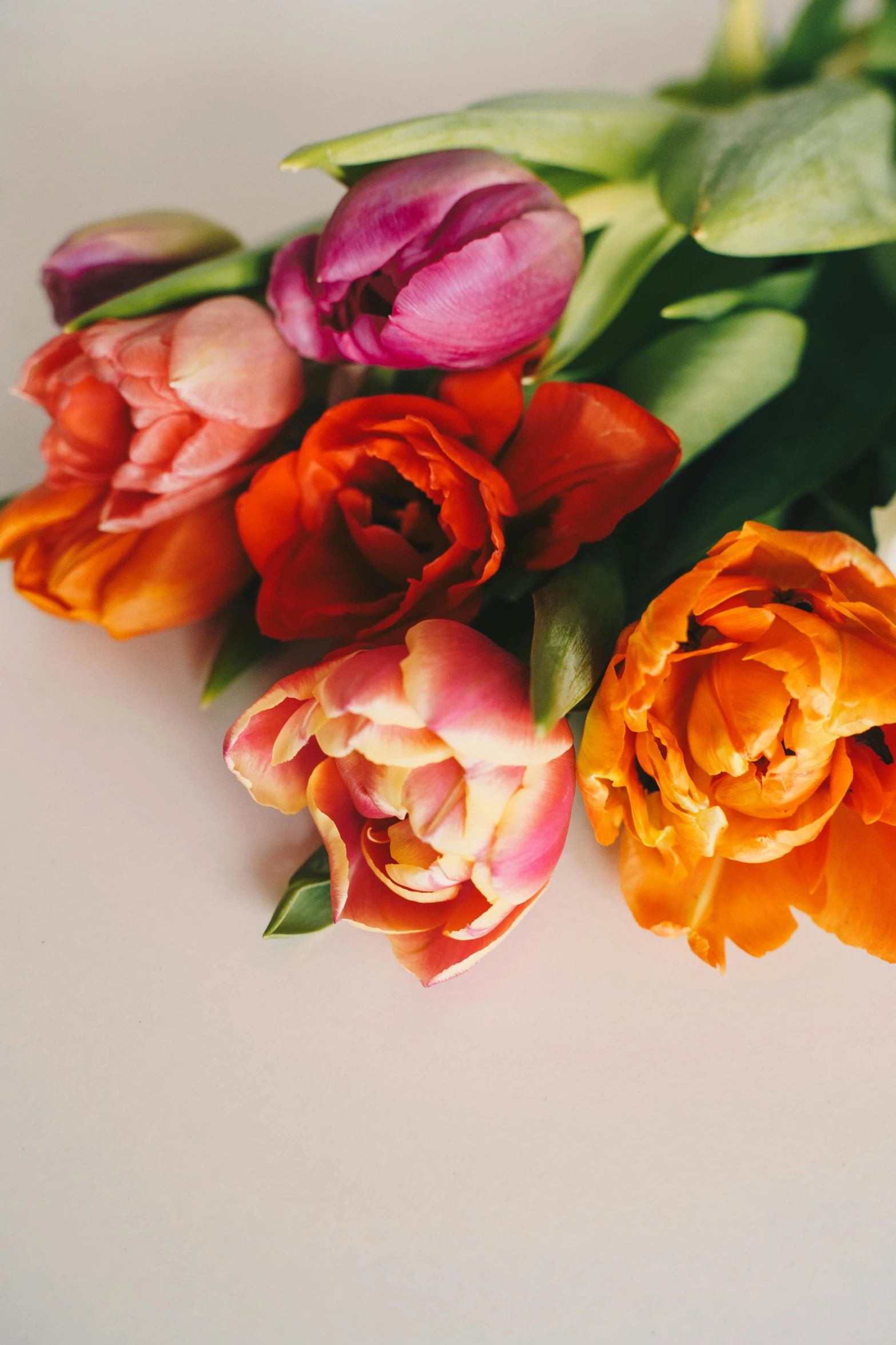 a bunch of flowers sitting on top of a table, by Kristin Nelson, trending on unsplash, tulips, pink and orange colors, on a gray background, natural soft light