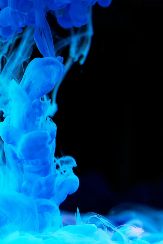 a close up of blue ink in water, a microscopic photo, inspired by Kim Keever, unsplash, glowing bones, ghost neon, with a black background, white glowing aura