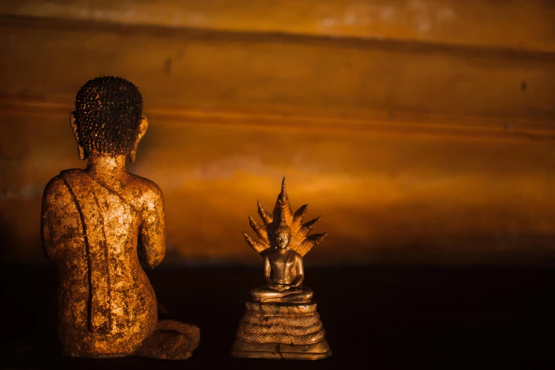 a statue of a person sitting next to a pineapple, a statue, unsplash, visual art, close up shot of an amulet, gold light, displayed on an altar, facing away