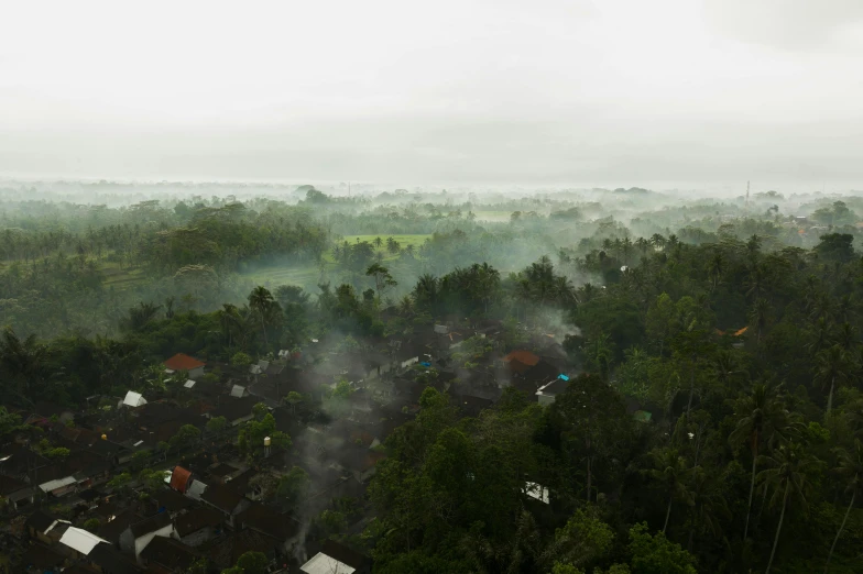 an aerial view of a village on a foggy day, a portrait, hurufiyya, eerie jungle, cinematic shot ar 9:16 -n 6 -g, photorealist, numerous fires