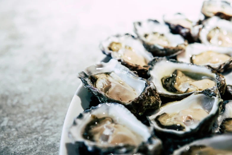 a plate of oysters sitting on a table, a portrait, by Nicolette Macnamara, unsplash, te pae, **cinematic, white, upclose