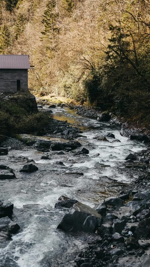 a stream running through a forest filled with rocks, by Jessie Algie, pexels contest winner, hurufiyya, river running past the cottage, wales, medium format. soft light, mill