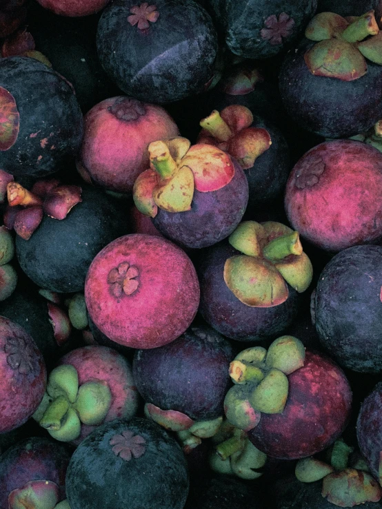 a pile of blueberries sitting on top of each other, by Margaret Bingham, unsplash, process art, madagascar, mangosteen, peyote colors, looking towards camera