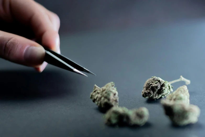 a person cutting up marijuana buds with a pair of scissors, a digital rendering, trending on pexels, hyperrealism, thumbnail, diamonds and scissors, waist up, hand on table