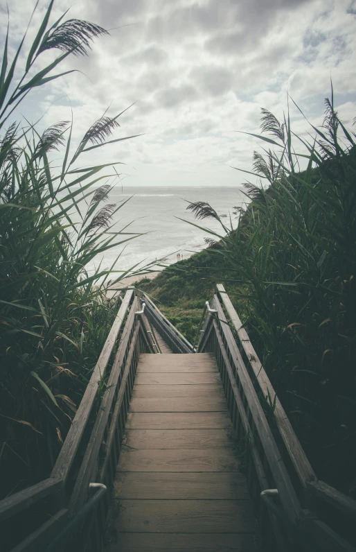 a wooden walkway surrounded by tall grass under a cloudy sky, a picture, unsplash, happening, stairs, the beach, vintage photo, an overgrown