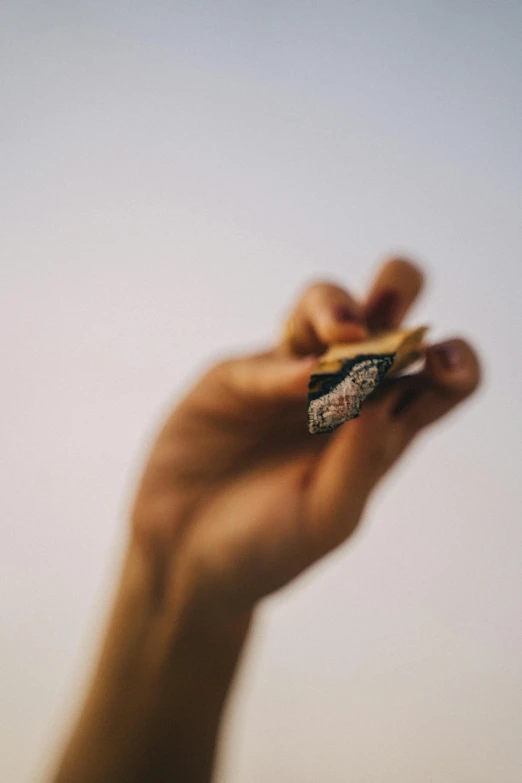 a person holding a piece of food in their hand, unsplash, paintchips, 3 5 mm still photo, golden hour photo, focus on card