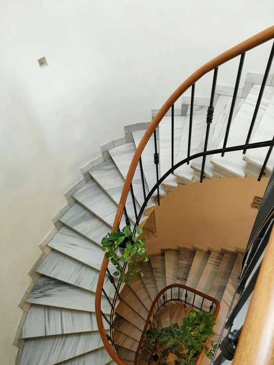 a spiral staircase leading to a second floor, inspired by Constantin Hansen, greek white marble, lush plant and magical details, ivory and black marble, vista view