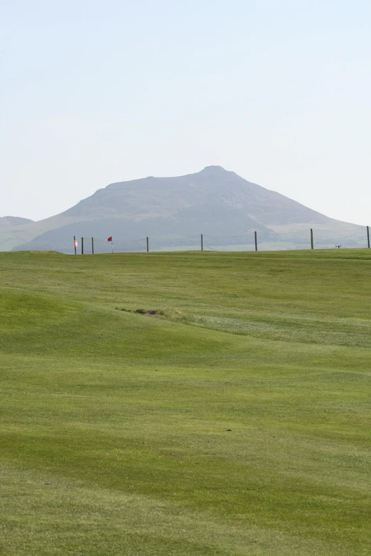 a man flying a kite on top of a lush green field, by Hallsteinn Sigurðsson, land art, golf course, distant - mid - shot, square, poop