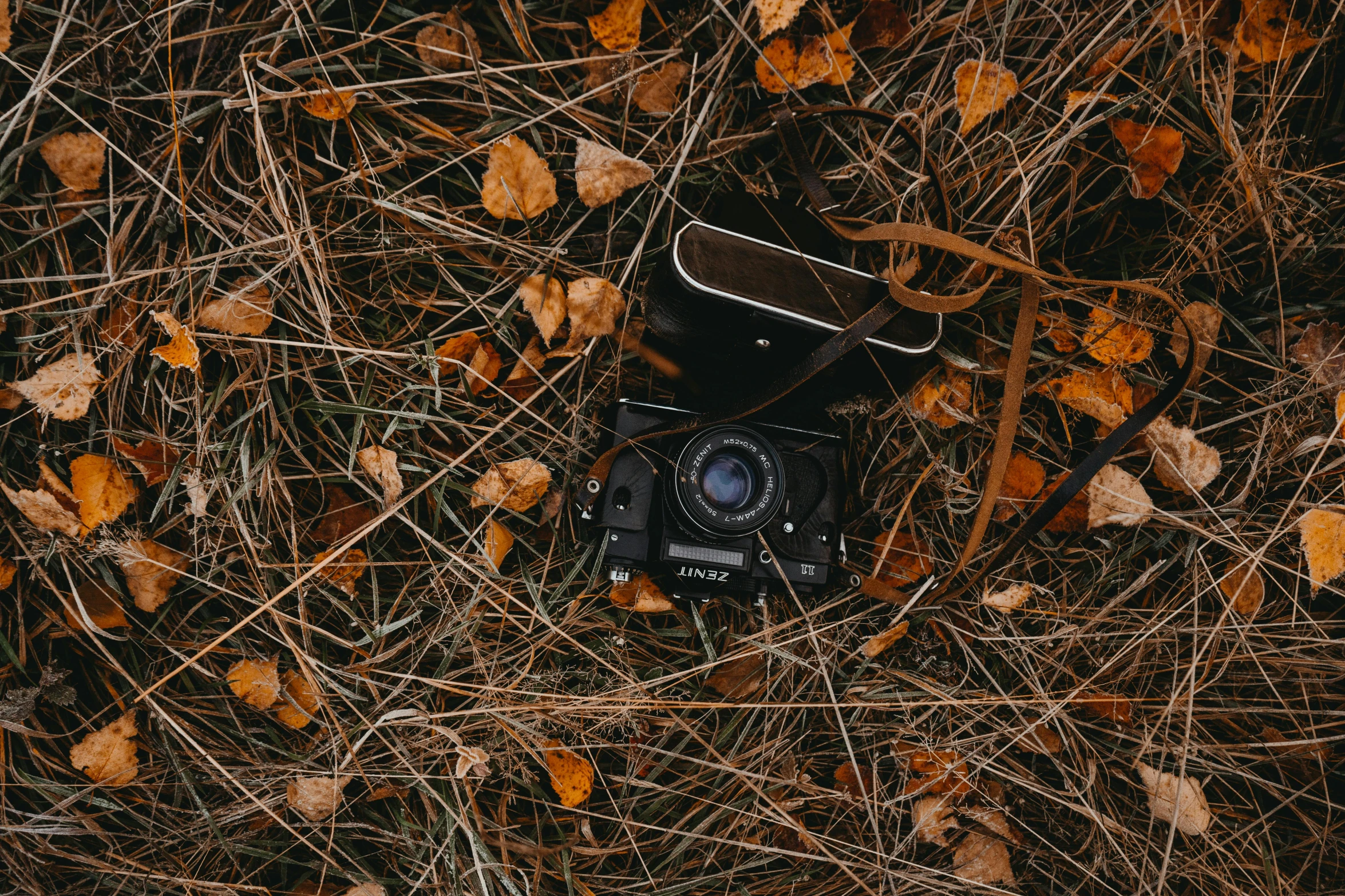 a camera sitting on top of a pile of leaves, a picture, hasselblad photo, medium format, lo-fi, flatlay