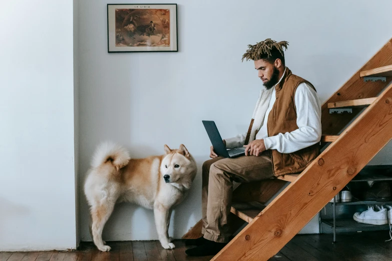 a man with dreadlocks working on a laptop next to a dog, trending on pexels, shiba inu, wolves and their treasures, modern indoors, 1 4 9 3