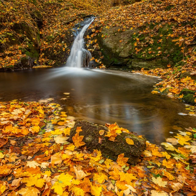 a small waterfall surrounded by autumn leaves, by Ivan Grohar, fan favorite, vdovenko, ocher, fall leaves on the floor