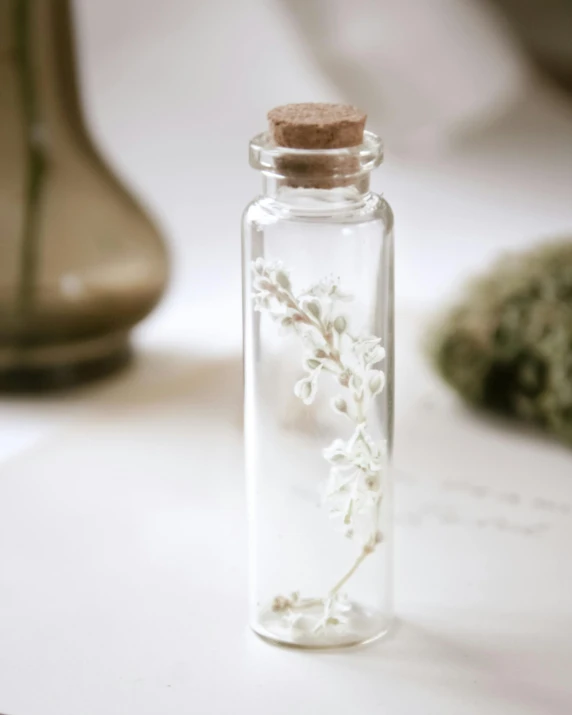 a bottle filled with flowers sitting on top of a table, miniature product photo, white witch, white petal, botanical herbarium paper