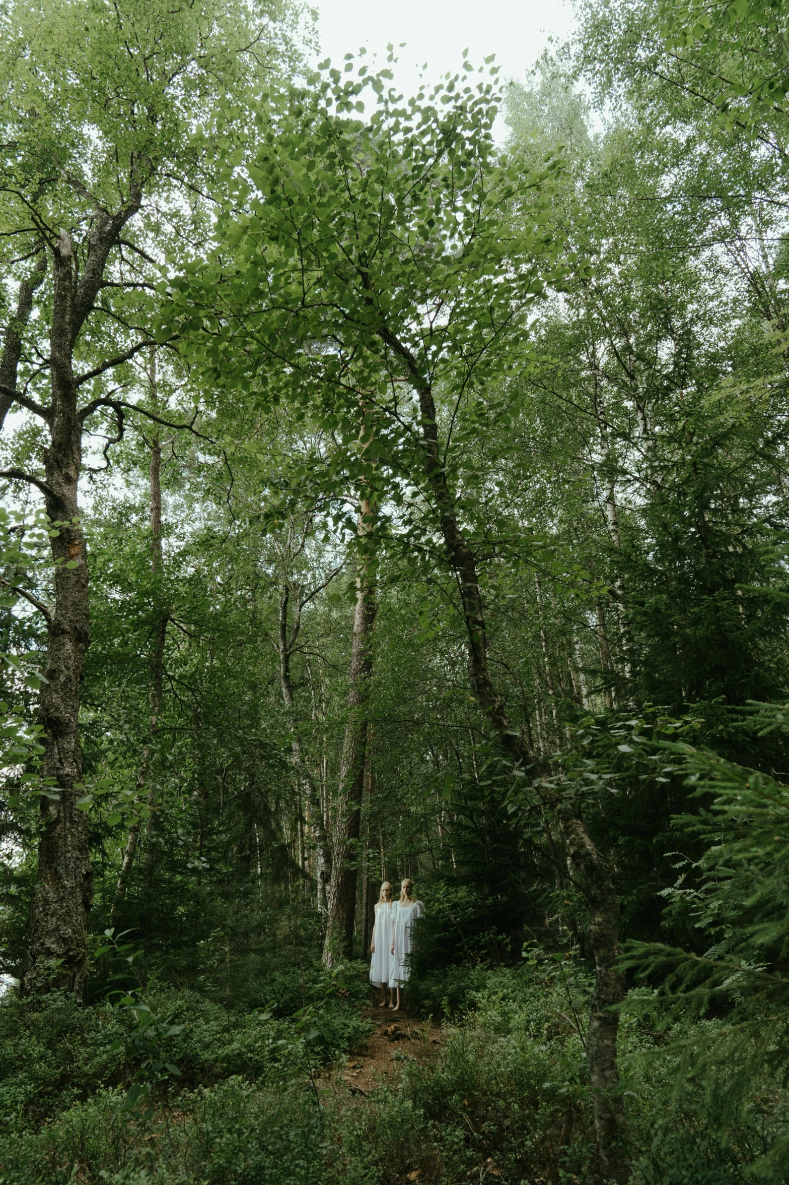 a person standing in the middle of a forest, by Else Alfelt, land art, midsommar, floating robes, ((trees)), exterior shot