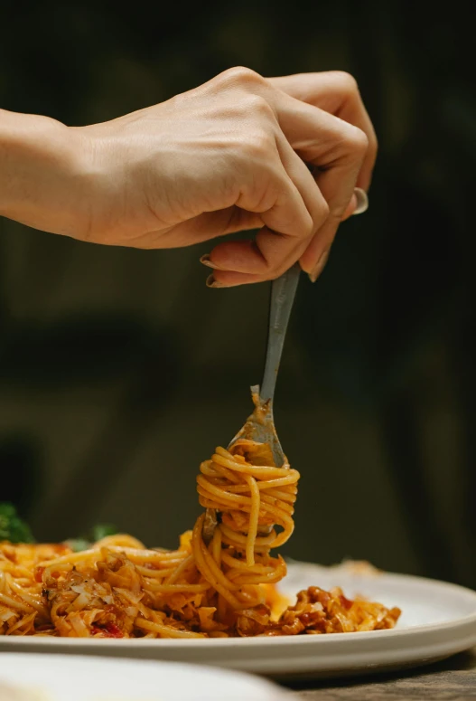 a person eating spaghetti with a fork on a plate, pexels contest winner, organic detail, plated arm, carving, zoomed in