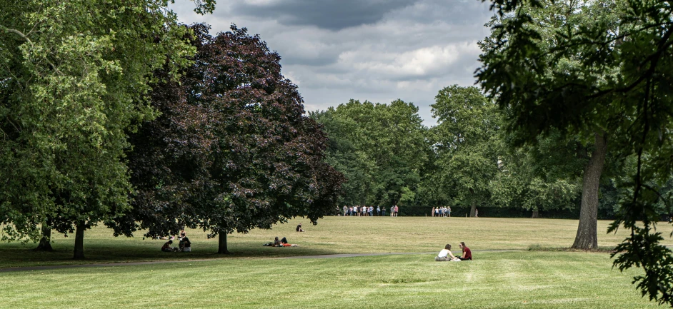 a group of people sitting on top of a lush green field, sitting under a tree, london, heat wave, 2022 photograph