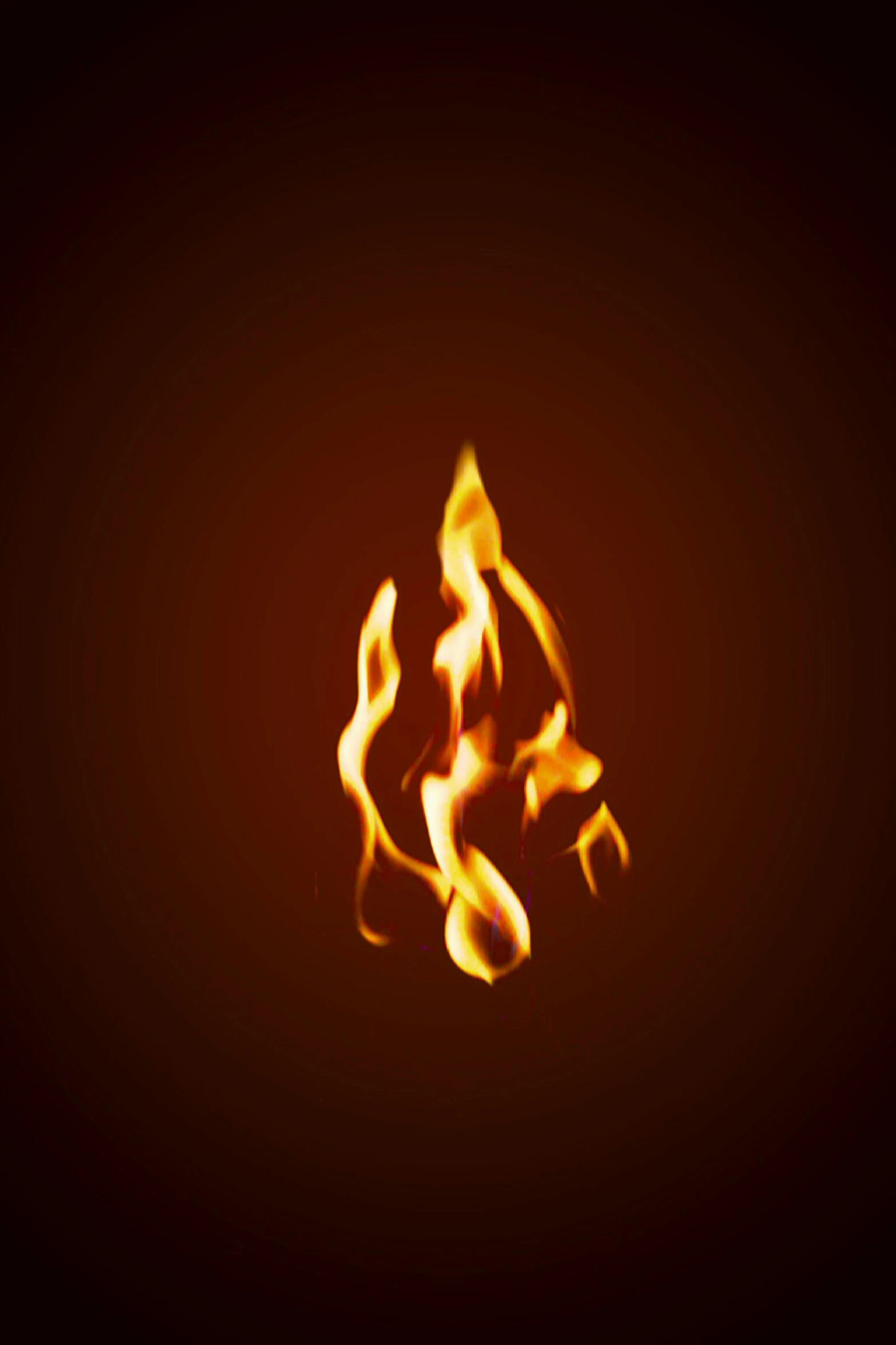 a close up of a fire on a black background, an album cover, by Rodney Joseph Burn, simplistic, avatar image, firewatch, ( ultra realistic