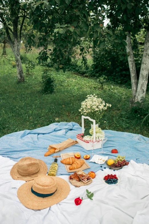 a blue blanket sitting on top of a lush green field, a still life, pexels contest winner, white tablecloth, snacks, fruit trees, bags on ground