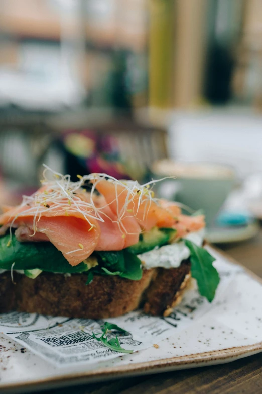 a close up of a plate of food on a table, pexels contest winner, sandwich, small hipster coffee shop, salmon, on a branch