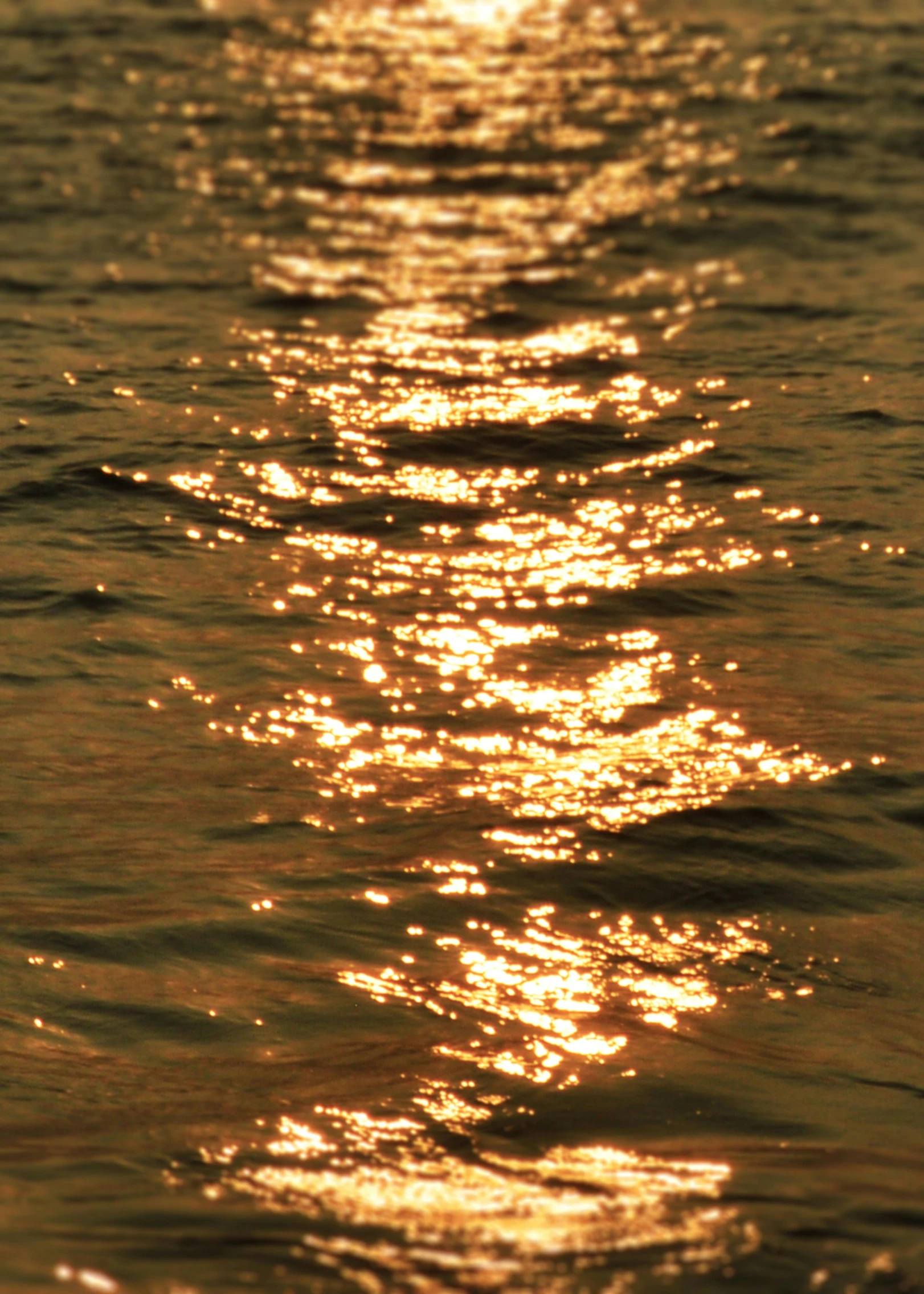 the sun is shining over a body of water, inspired by Elsa Bleda, gold refractions off water, close-up photograph, metallic, evening lighting