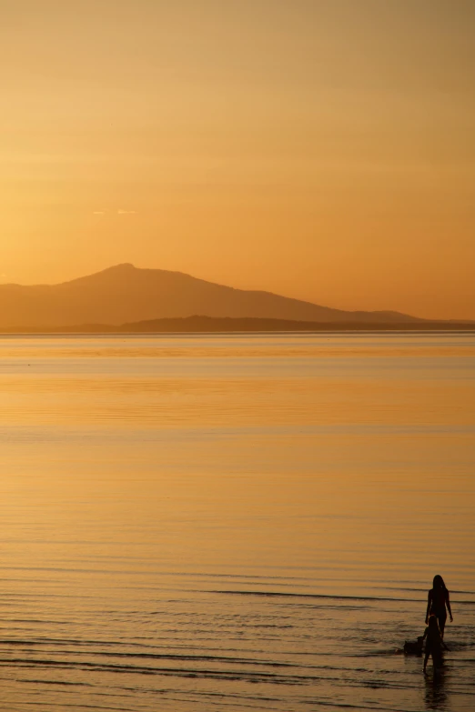 a person walking a dog on a beach at sunset, by Doug Ohlson, distant mountains, holywood scene, te pae, sittin