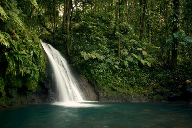 a waterfall in the middle of a lush green forest, by Alison Geissler, pexels contest winner, sumatraism, turquoise water, bocage, nadav kander, slide show
