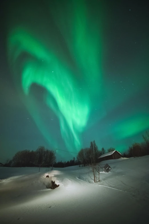 a person on a sled in the snow under an aurora bore, by Peter Madsen, lightshow, dramatic lighting - n 9, deep green, fujifilm”