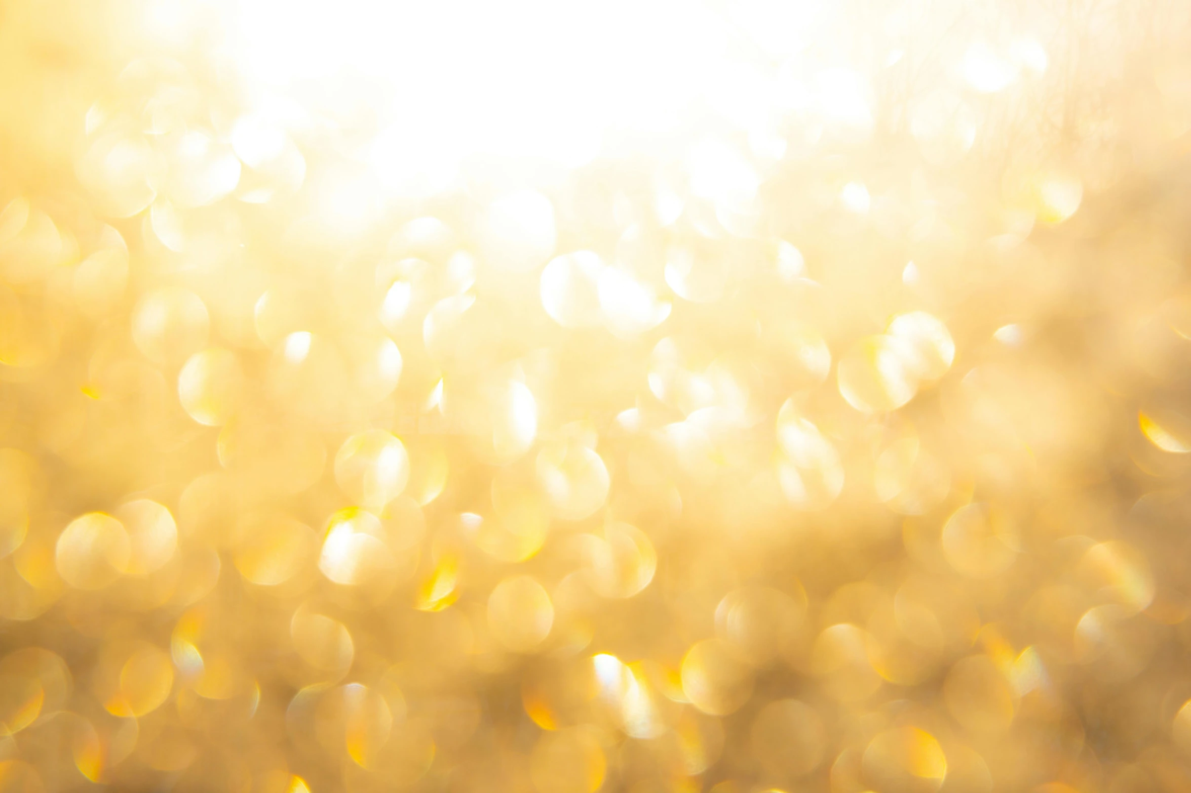 the sun shines brightly through a golden bokeh, an album cover, gold and white, golden hour 8k, holiday season, sparkly