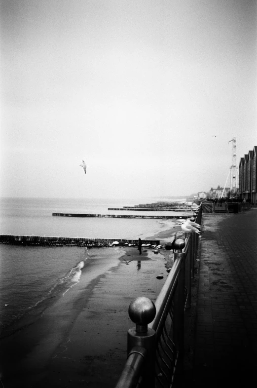 a black and white photo of a beach, inspired by Bert Hardy, surrealism, medium format, disposable camera photo, ( ( railings ) ), kites