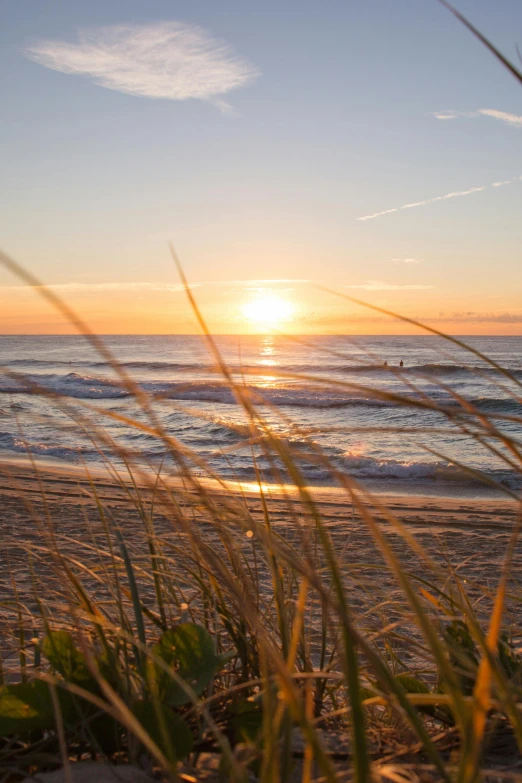 a person riding a surfboard on top of a sandy beach, standing in the grass at sunset, slide show, stubble, overlooking the ocean