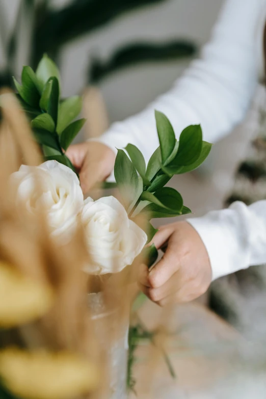 a close up of a person putting flowers in a vase, branches and foliage, white roses, natural materials, at checkout