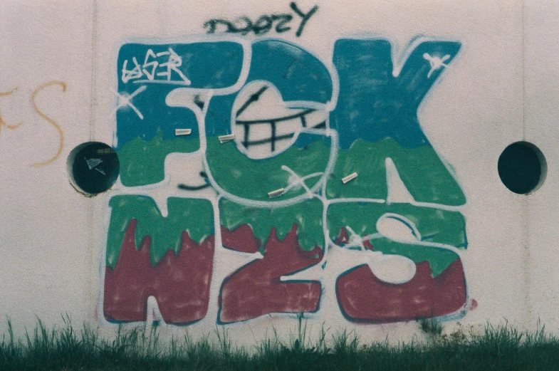 a wall that has some graffiti on it, an album cover, fvckrender, photo from 2022, scanned in, grassy knoll