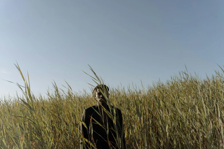 a man standing in a field of tall grass, an album cover, unsplash, adut akech, movie still 8 k, phragmites, low-angle shot