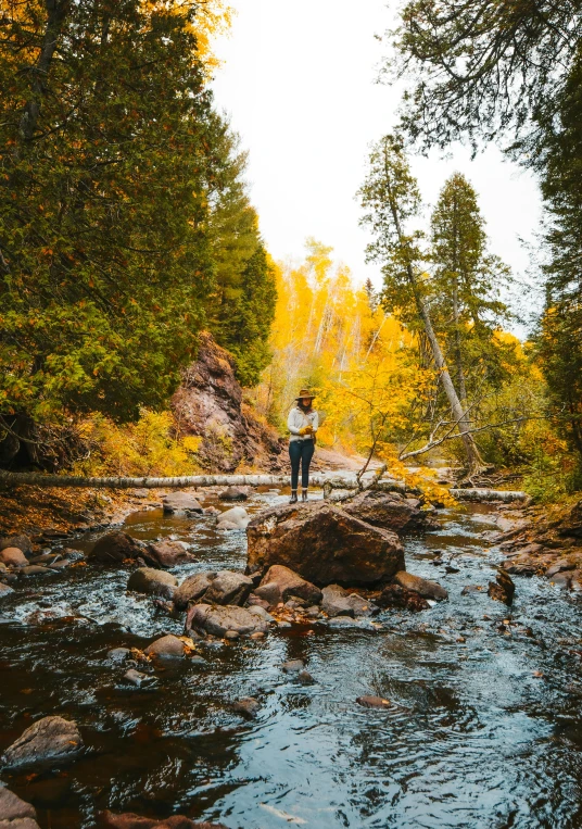 a person standing on rocks in the middle of a river, fall colors, superior look, 2 5 6 x 2 5 6 pixels, solo hiking in mountains trees