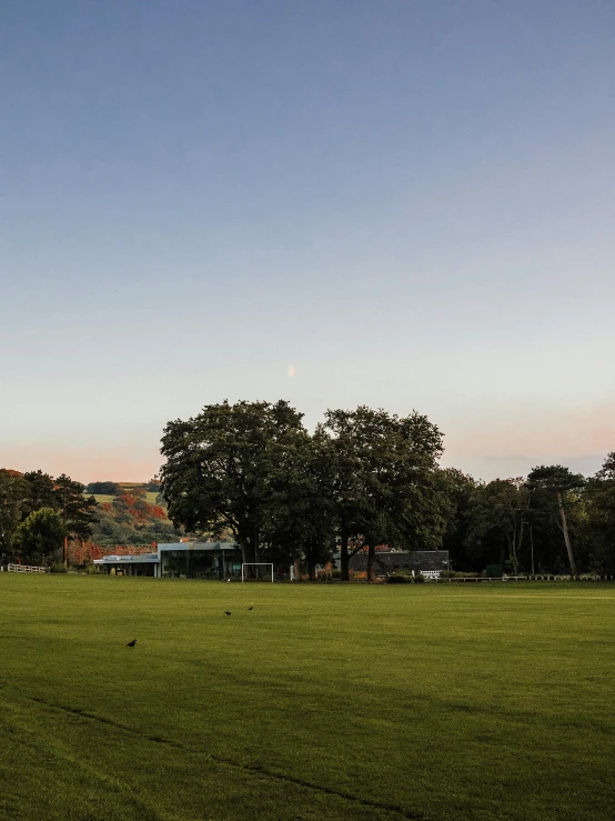 a man flying a kite on top of a lush green field, heidelberg school, twilight ; wide shot, panoramic photography, shot on sony a 7, lawns