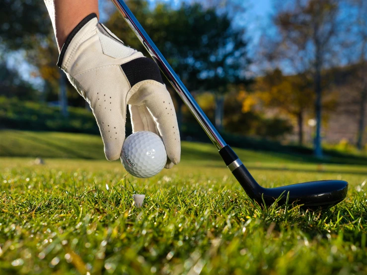 a person taking a swing at a golf ball, shutterstock, renaissance, square, brown, handheld, premium