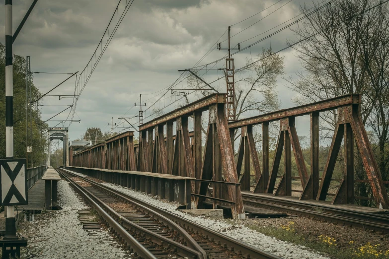 a train traveling down train tracks next to a forest, by Adam Marczyński, pexels contest winner, renaissance, old bridge, 1940s photo, brown, industrial aesthetic