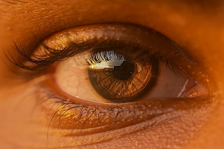 a close up of a person's brown eye, a macro photograph, trending on pexels, unreal engine 5 highly rendered, golden hour closeup photo, detailed realistic 8 k, photo realistic image